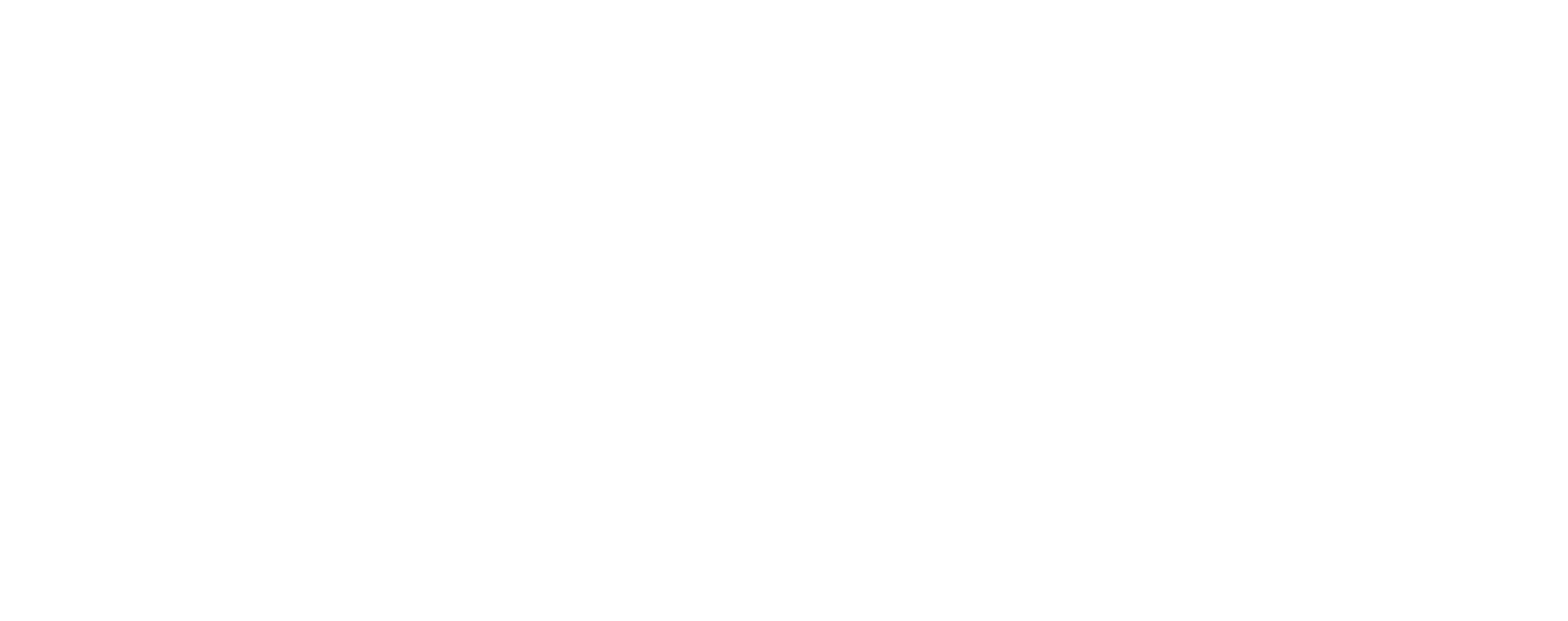 The Or Foundation